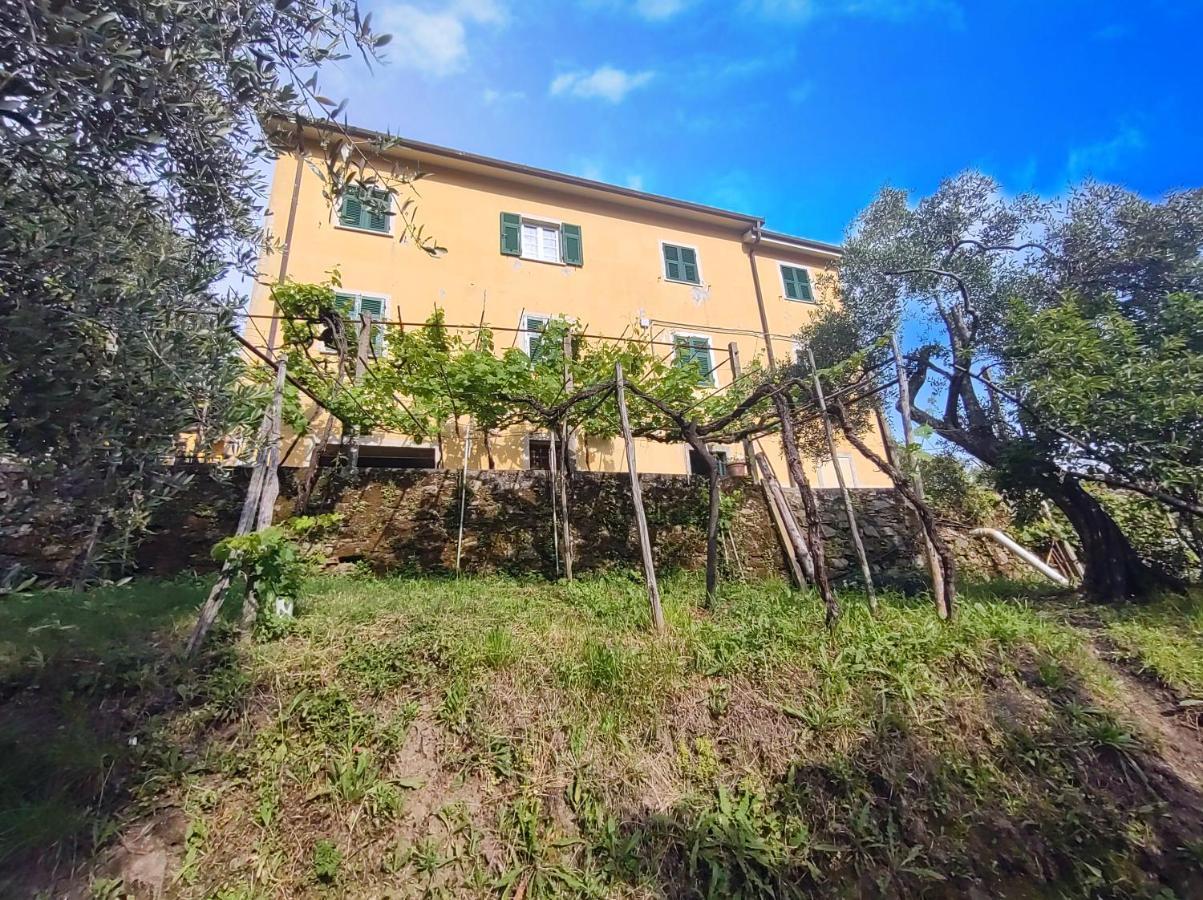 La Cascina Tra Gli Ulivi La Spezia